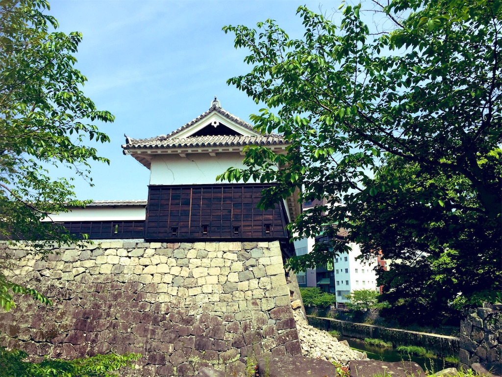 f:id:dsue0824:20190507210738j:image