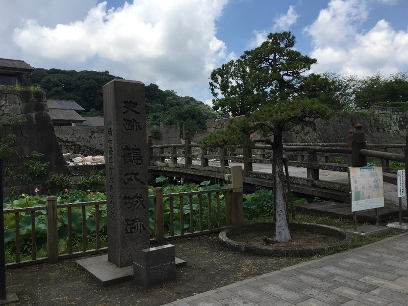 イメージ 5