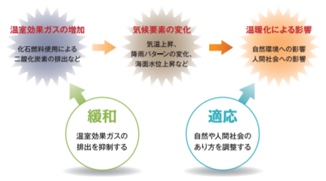 f:id:dsupplying:20200201163721p:plain