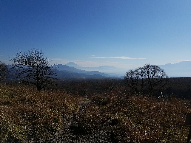f:id:dsupplying:20200305110443j:image