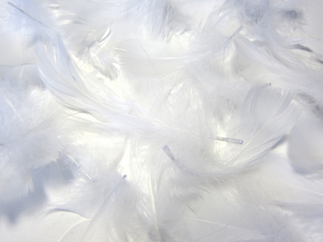 f:id:dsupplying:20200327083116j:plain f:id:dsupplying:20200327083116j:plain