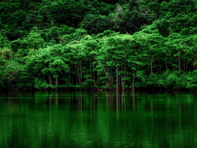 f:id:dsupplying:20200915162230j:plain