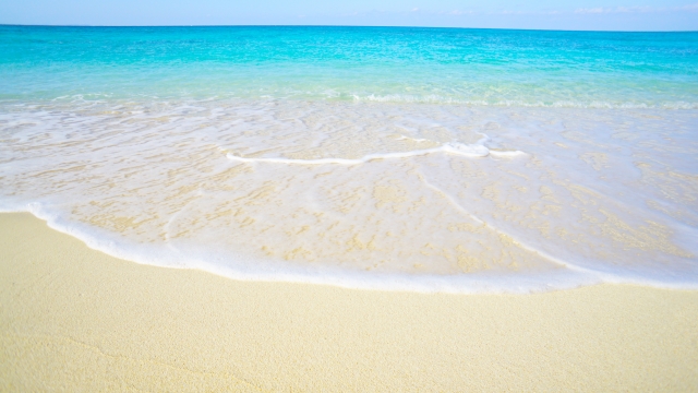 f:id:dsupplying:20201007060341j:plain