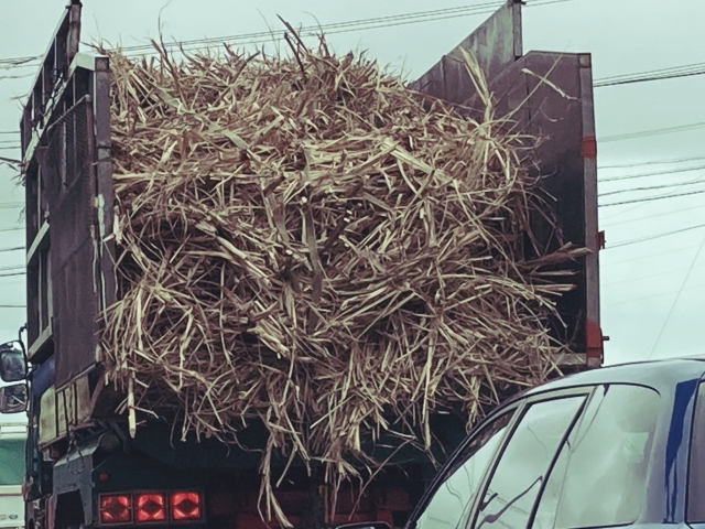 f:id:dsupplying:20210501101250j:plain