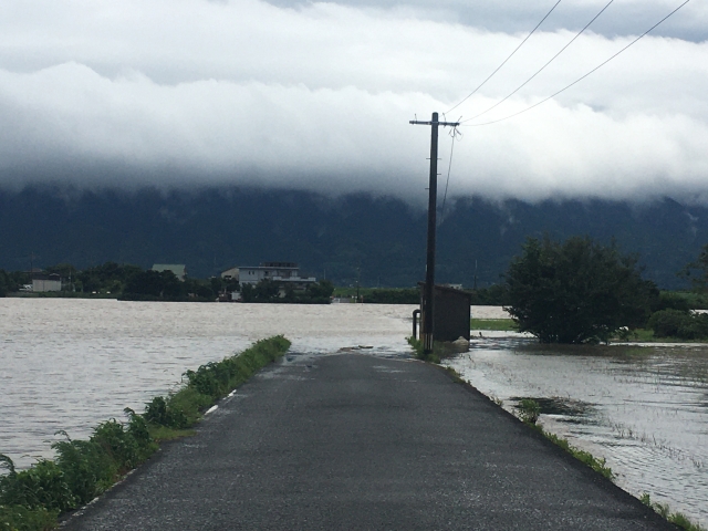 f:id:dsupplying:20210815124711j:plain