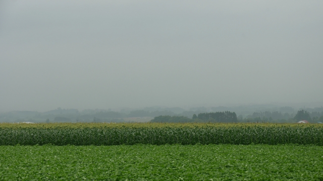 f:id:dsupplying:20210914084951j:plain