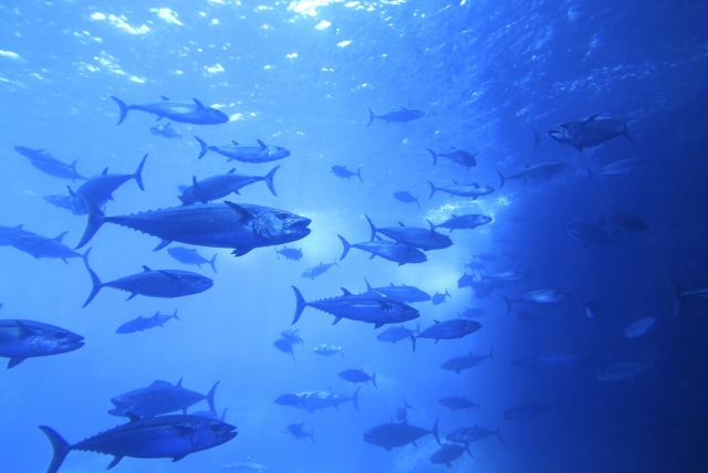 f:id:dsupplying:20210915112646j:plain