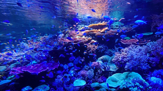 f:id:dsupplying:20210924105018j:plain