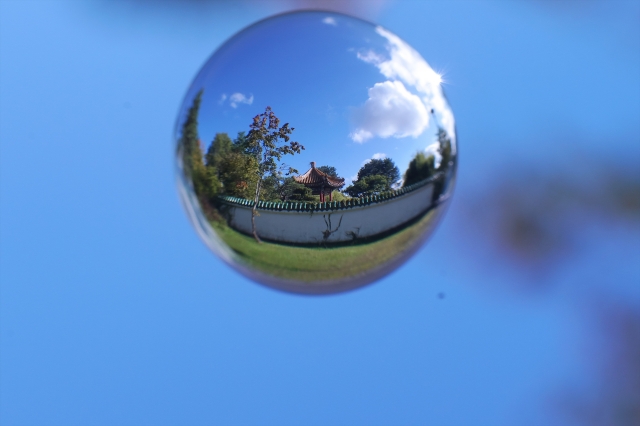 f:id:dsupplying:20211026111513j:plain