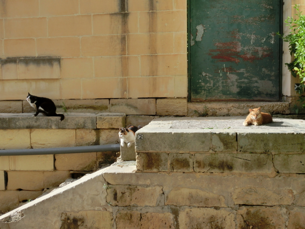 f:id:dsusdrlwy1372:20180108035826j:plain