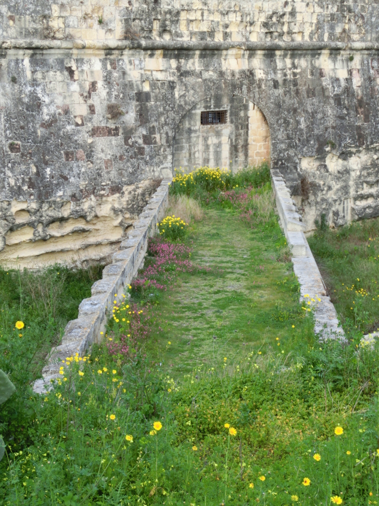 f:id:dsusdrlwy1372:20180108040436j:plain