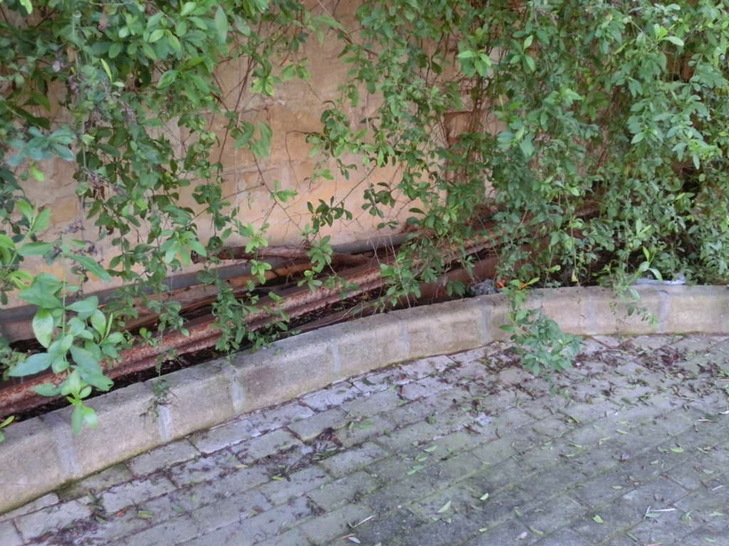 f:id:dsusdrlwy1372:20180109014435j:plain