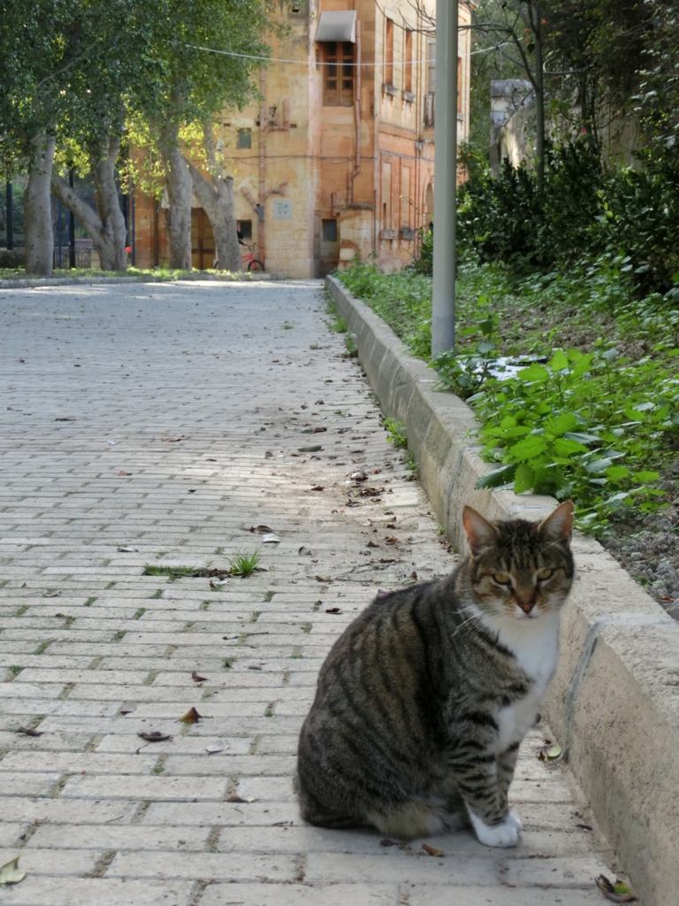 f:id:dsusdrlwy1372:20180109014858j:plain