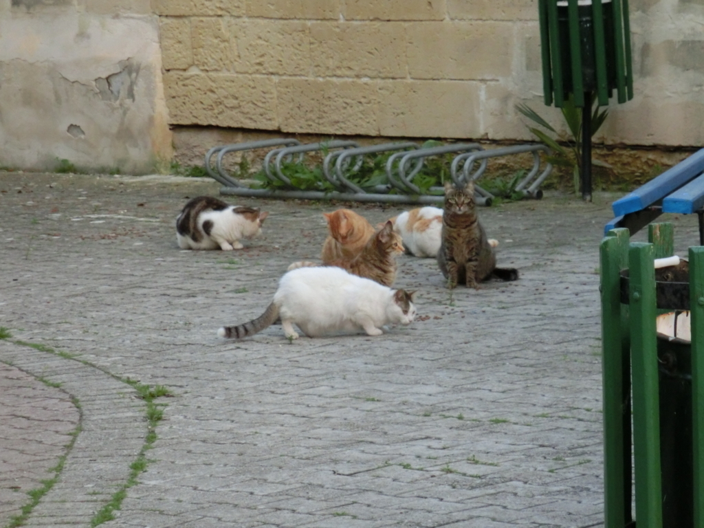 f:id:dsusdrlwy1372:20180109020922j:plain