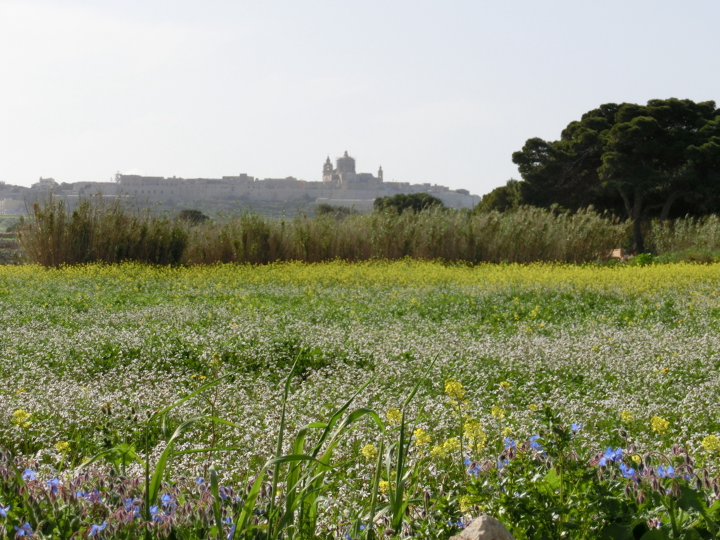 f:id:dsusdrlwy1372:20180109021746j:plain