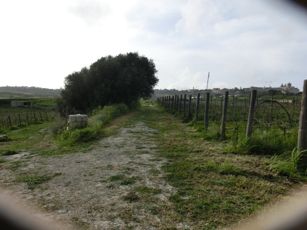 f:id:dsusdrlwy1372:20180109022626j:plain