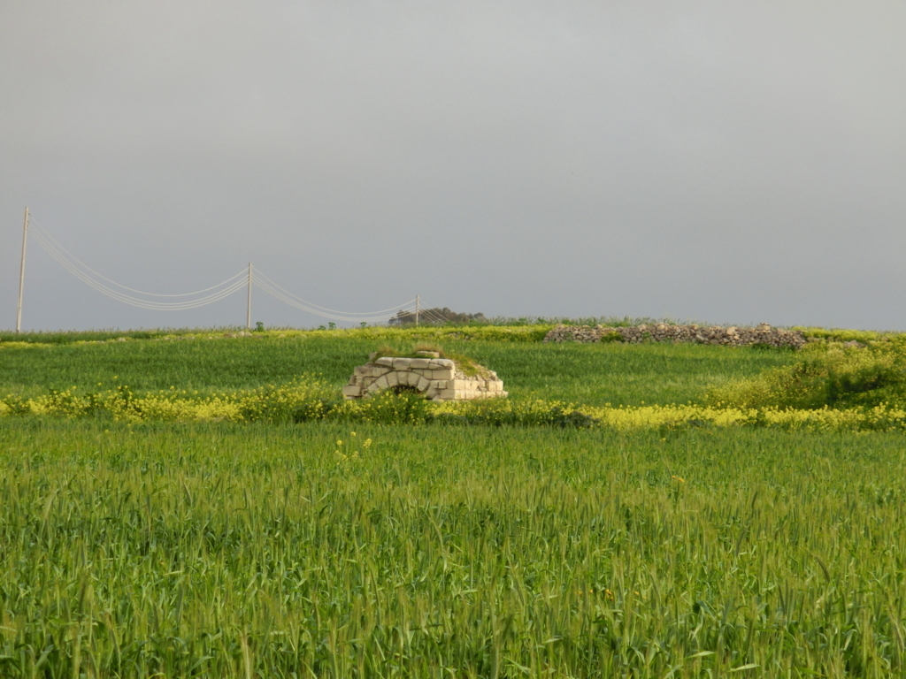 f:id:dsusdrlwy1372:20180109022823j:plain