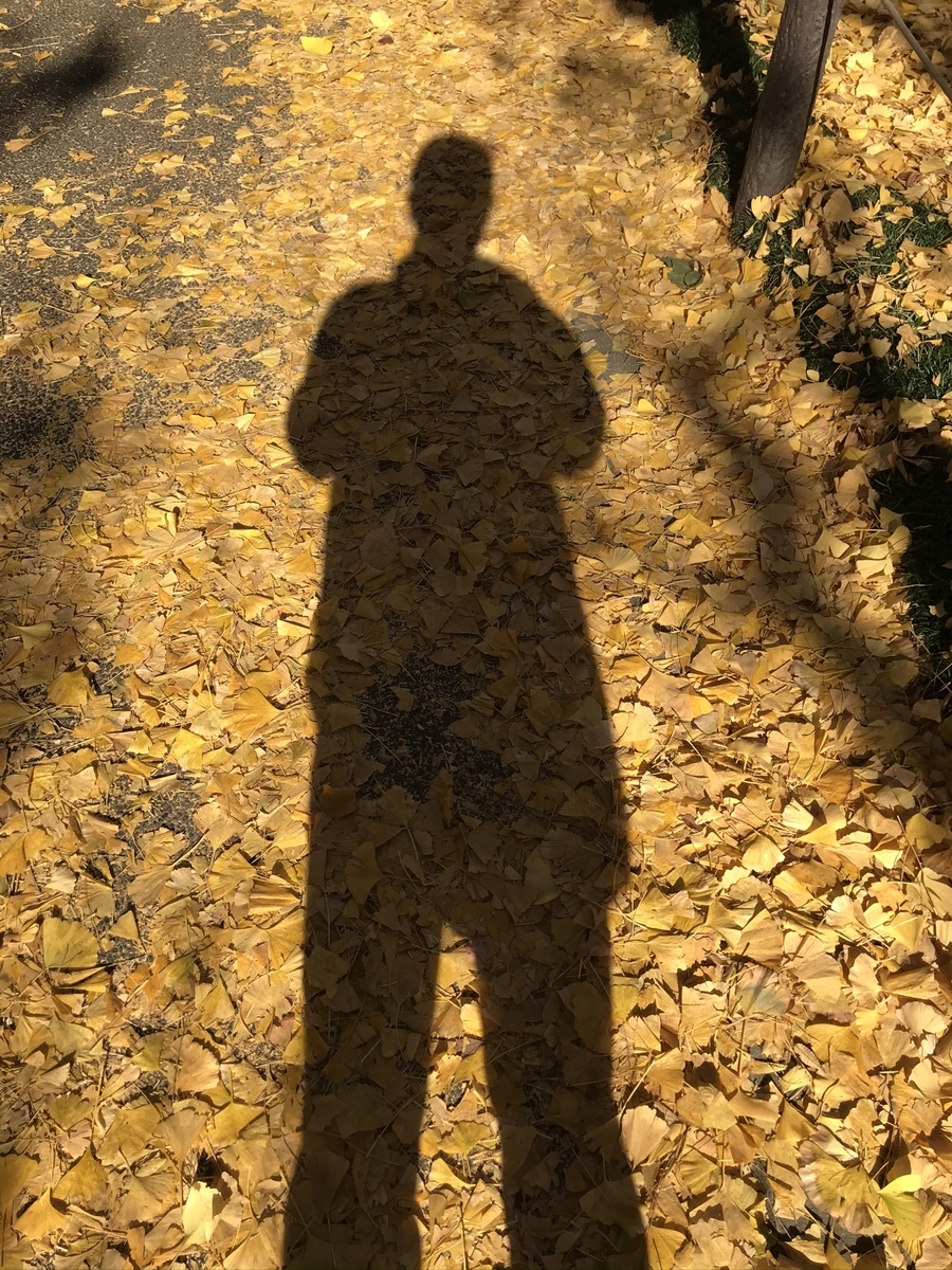 f:id:dtk1970:20201122113933j:plain