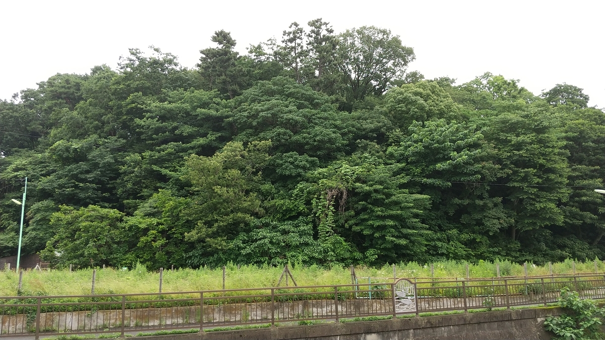 f:id:dtk1970:20210606220706j:plain