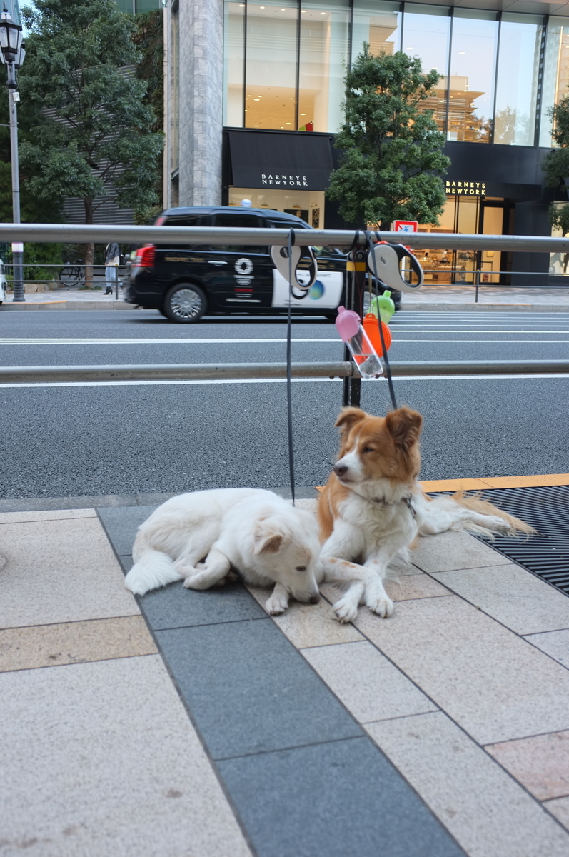 f:id:dtk1970:20211103172643j:plain