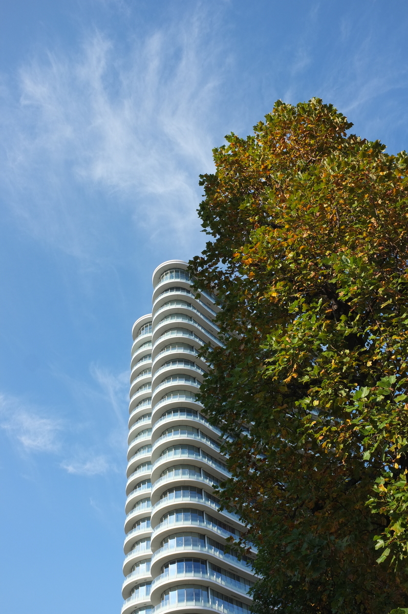 f:id:dtk1970:20211103174924j:plain