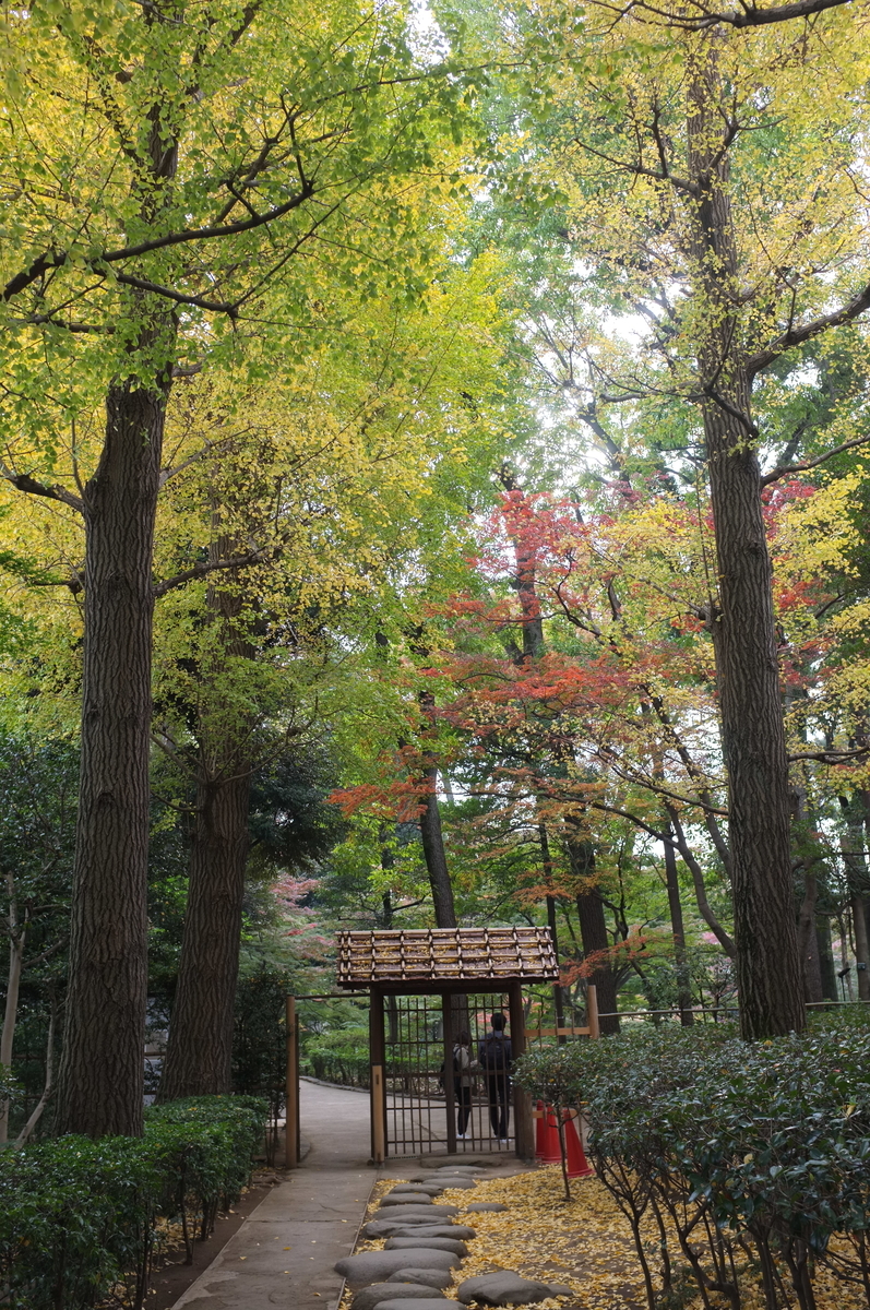 f:id:dtk1970:20211122204655j:plain