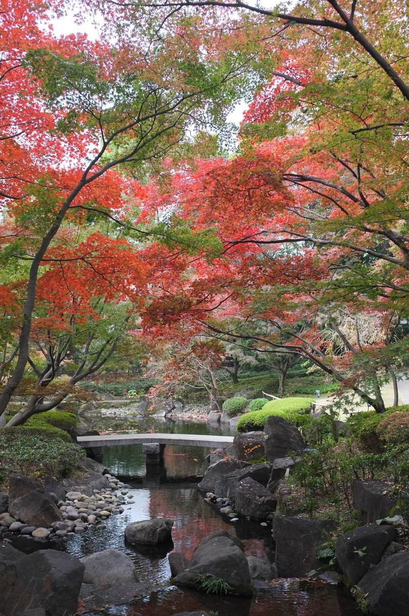 f:id:dtk1970:20211122204747j:plain