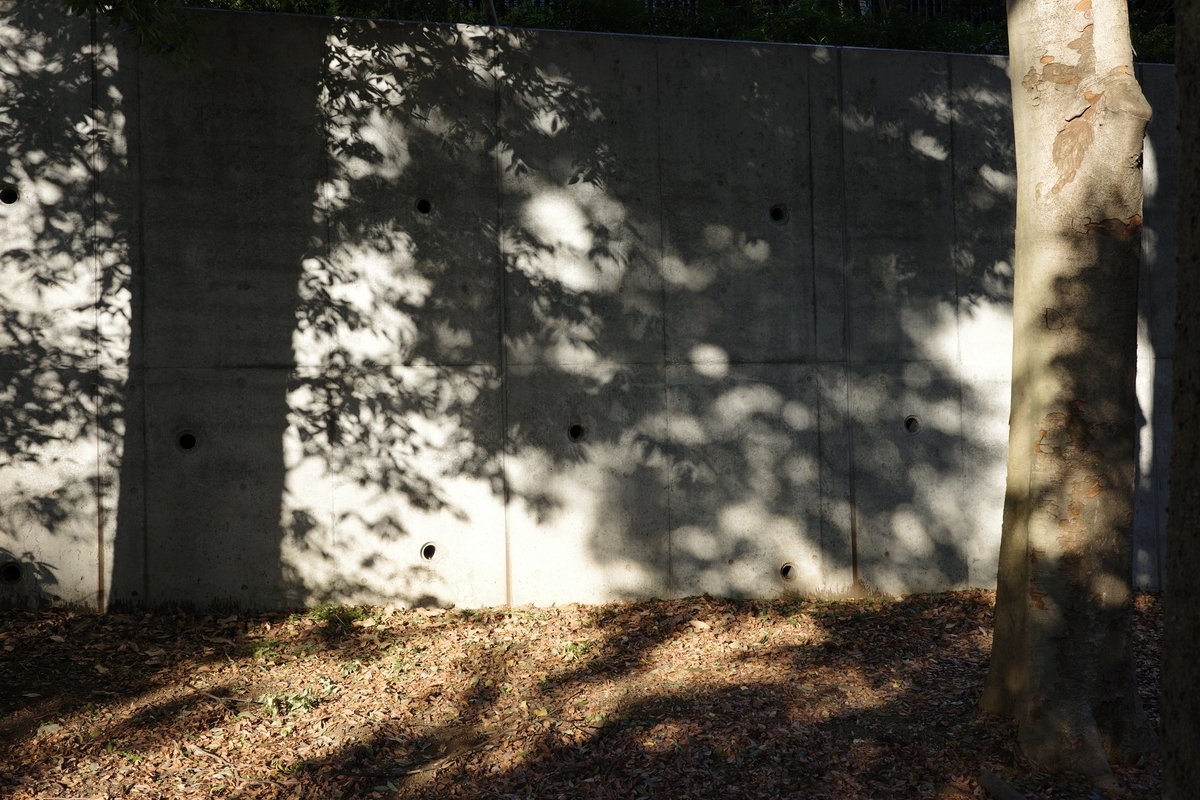 f:id:dtk1970:20211229163657j:plain