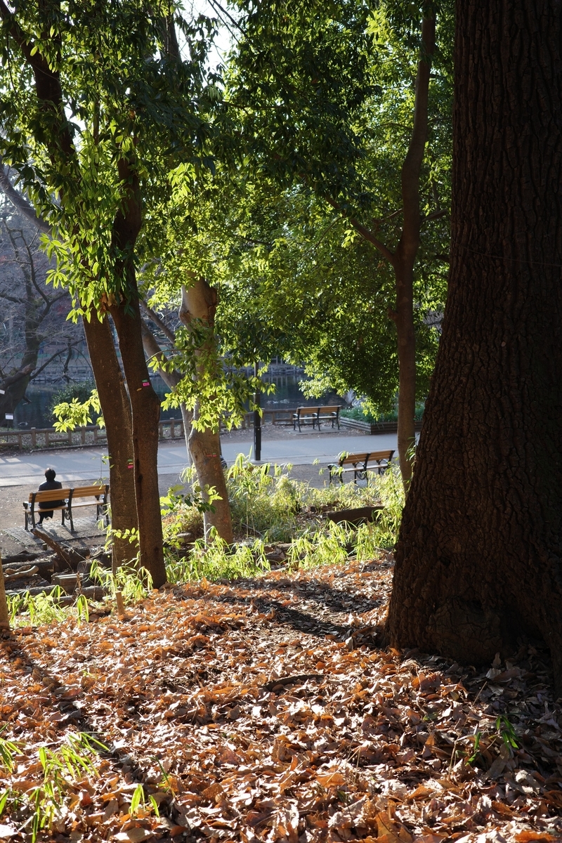 f:id:dtk1970:20211229163711j:plain