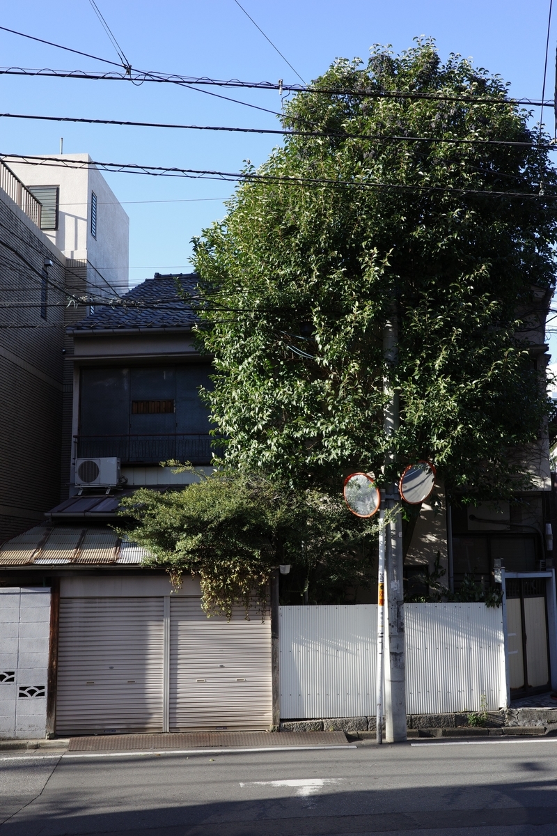f:id:dtk1970:20220106232549j:plain