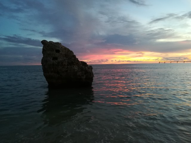 f:id:dtred:20240603215140j:image