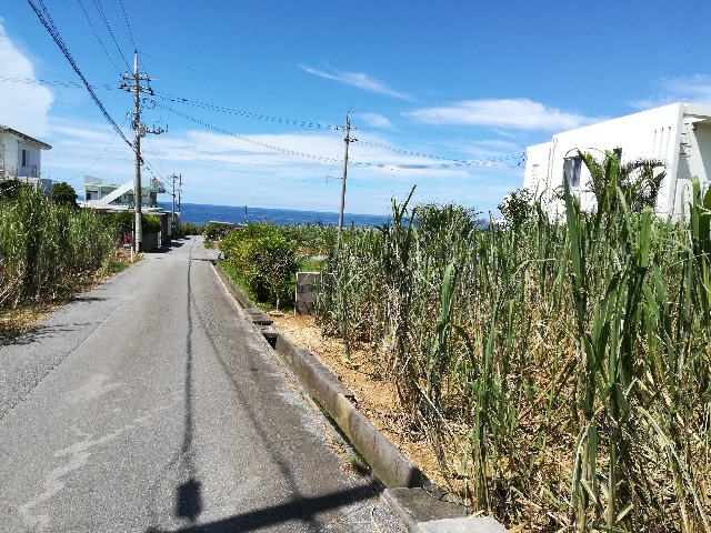 f:id:dtred:20240603215317j:image