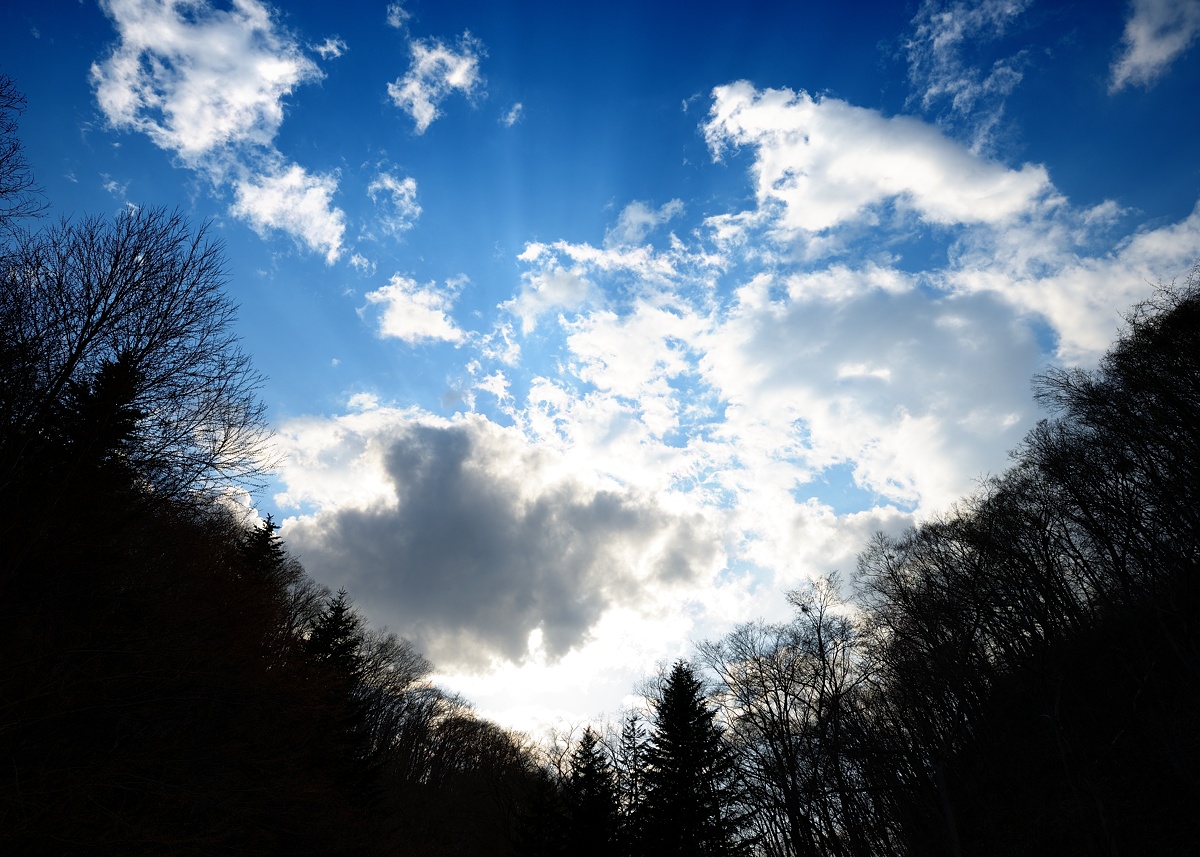 f:id:dualmoon:20140508012151j:plain:w800 f:id:dualmoon:20140508012151j:plain:w800