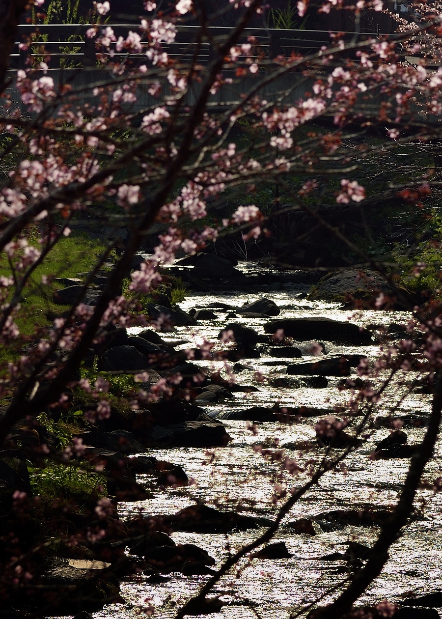 f:id:dualmoon:20140508024724j:plain:w700 f:id:dualmoon:20140508024724j:plain:w700