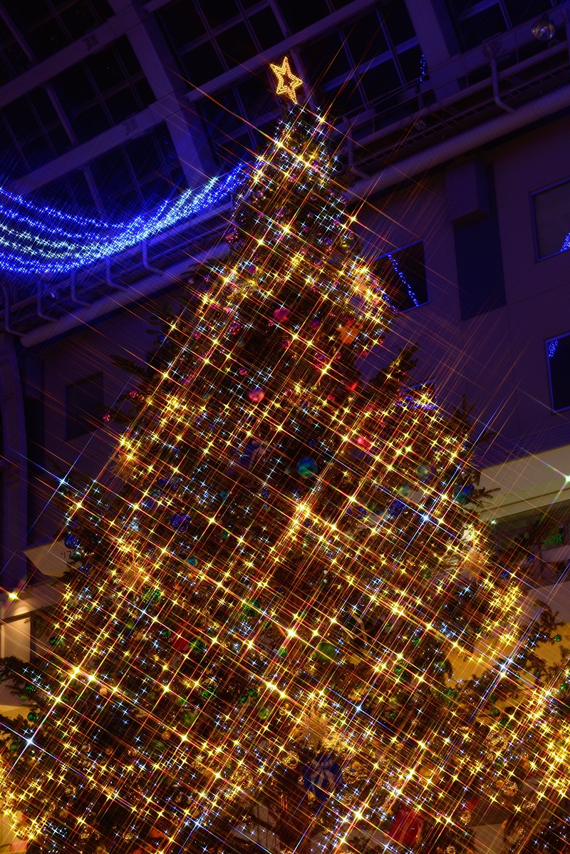 f:id:dualmoon:20141103022313j:plain:w700
