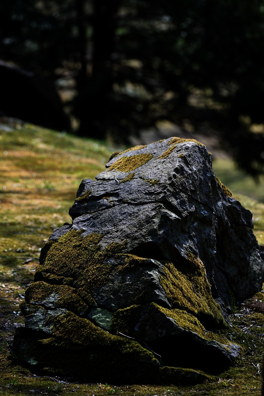 f:id:dualmoon:20150509121020j:plain:w700