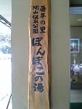 20050213195339