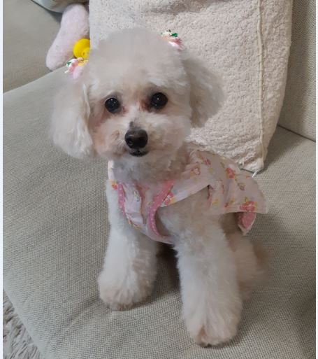f:id:duanallman:20190907202645j:plain