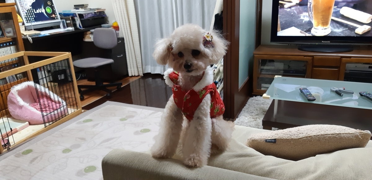 f:id:duanallman:20191228175059j:plain