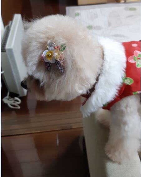 f:id:duanallman:20191228175413j:plain