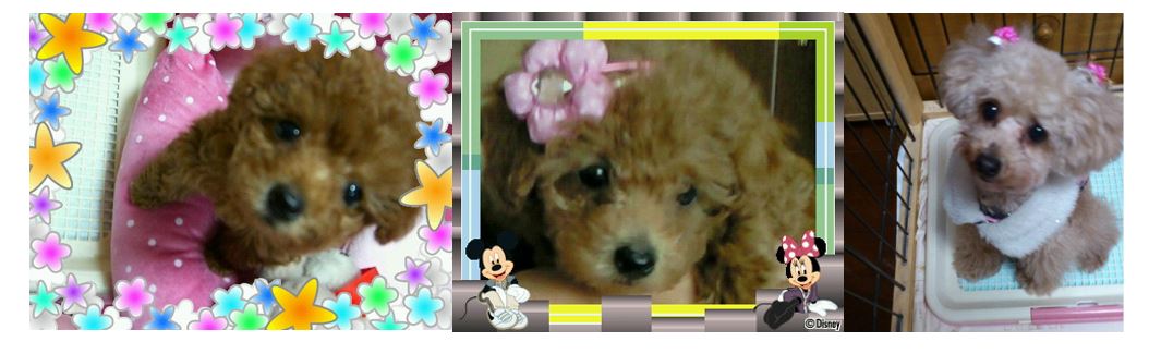 f:id:duanallman:20200809191802j:plain