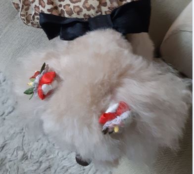 f:id:duanallman:20210814202917j:plain