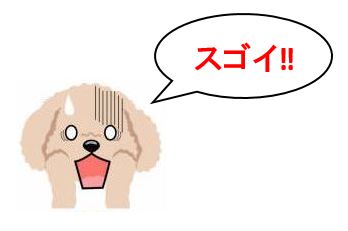 f:id:duanallman:20210906173632j:plain