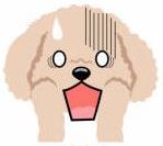 f:id:duanallman:20211009192539j:plain