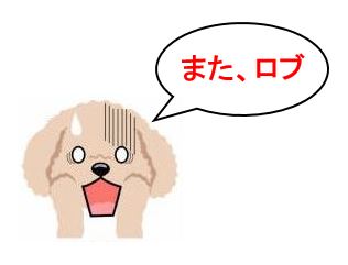 f:id:duanallman:20211012201002j:plain