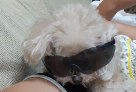 f:id:duanallman:20211022181353j:plain