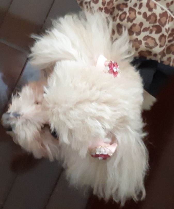 f:id:duanallman:20211022181533j:plain