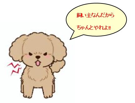 f:id:duanallman:20211105161653j:plain