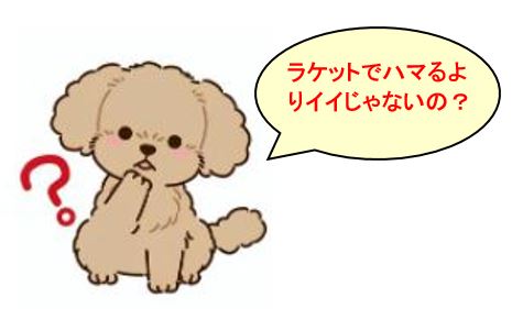 f:id:duanallman:20211201160053j:plain