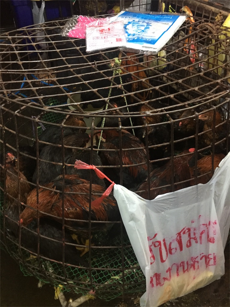 f:id:duangdaao:20171119235501j:image